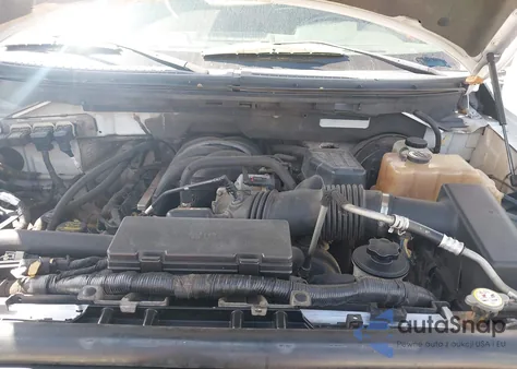 2009 Ford F-150 Stx/Xl/Xlt from USA, damaged, VIN 1FTRX14889KB45619